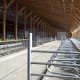 Pickmick Farms Delta BC - interior view of dairy cow barn