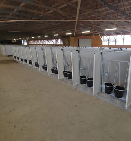 dairy cow housing Newly installed Dairy calf housing by Mid Valley Mfg.