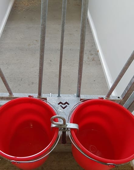 housing-2 Feed and water buckets installed on the gate of dairy calf housing