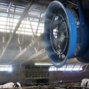 Close up of an Arctic Blast cow cooling fan installed