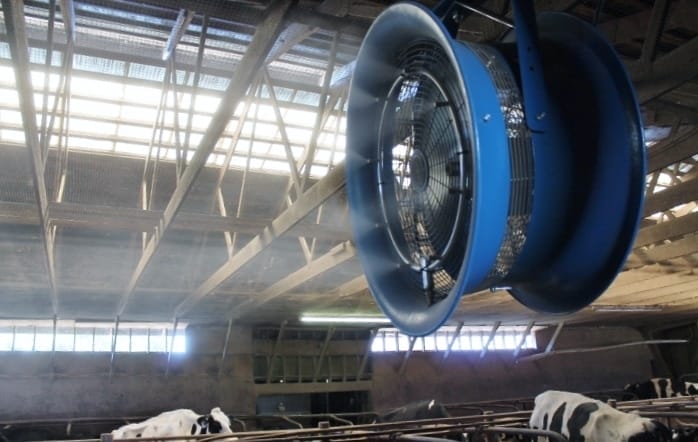 Close up of an Arctic Blast cow cooling fan installed