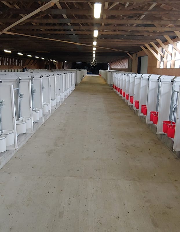 manufacturing New dairy barn equipment installation
