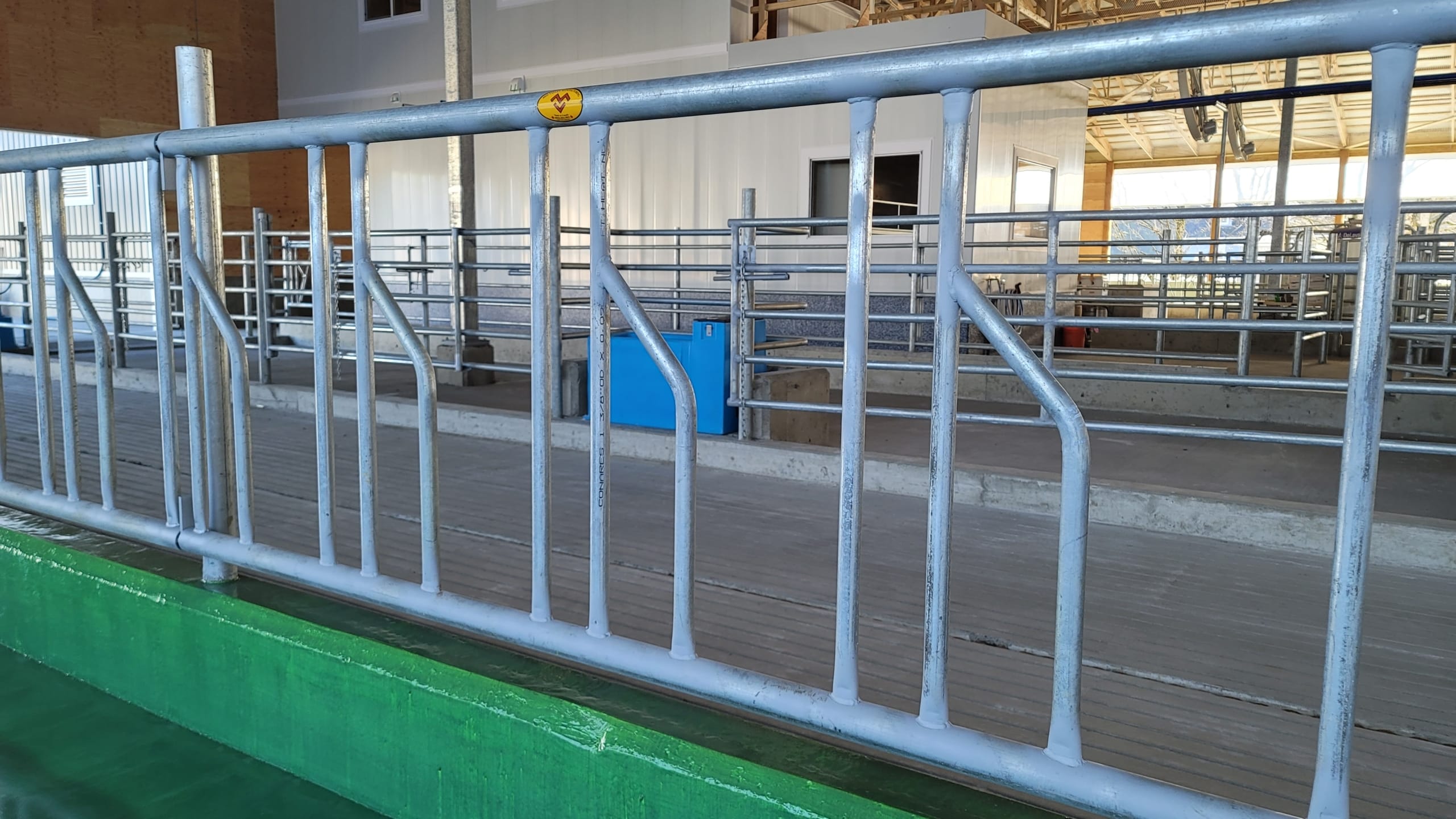 CSTS2 A new dairy cow barn with newly installed cow stanchions.