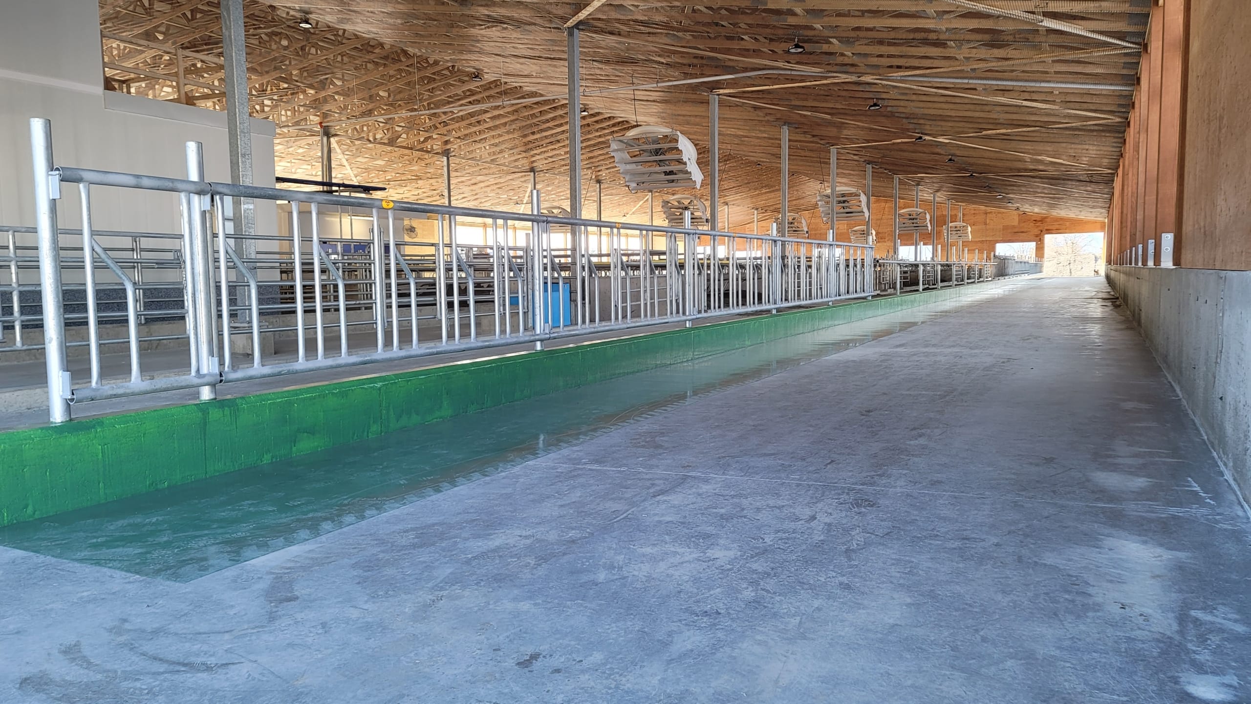 CSTS4 The clean floor of a dairy barn.