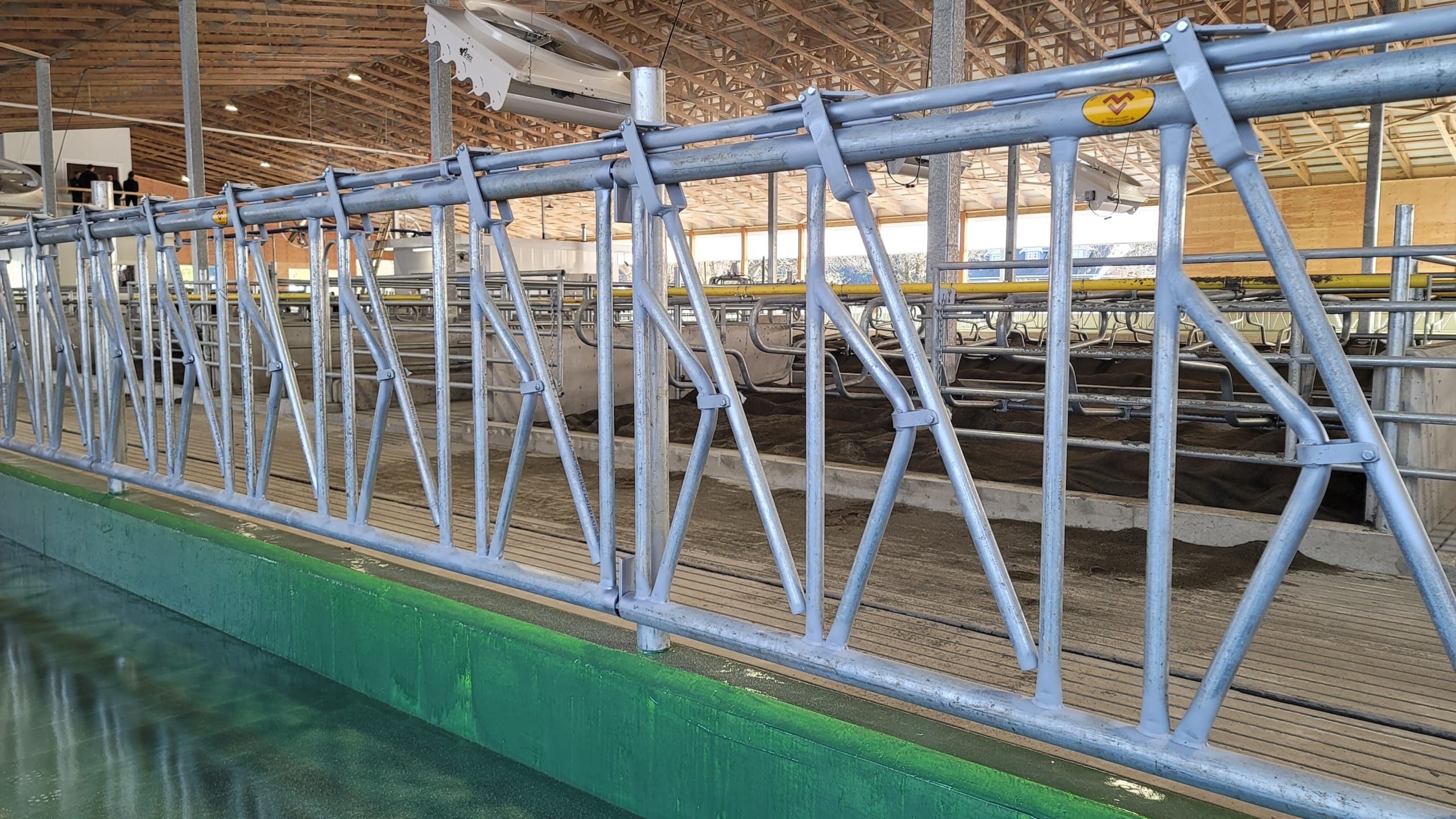 DSLS1 Mid Valley Manufacturing dairy cow stanchions installed in a barn.