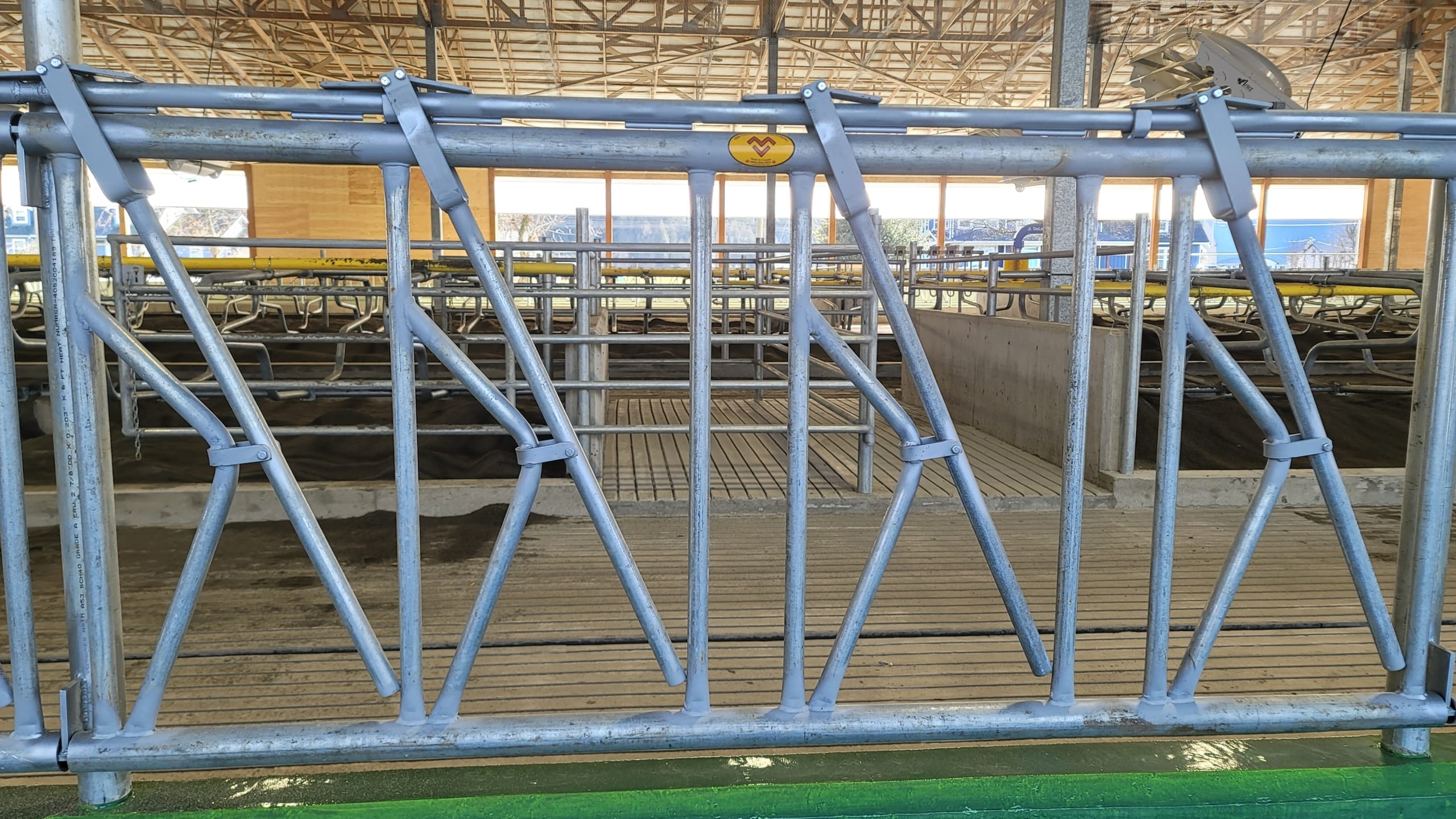 DSLS2 Dairy cow stanchions with Mid Valley Manufacturing logo.